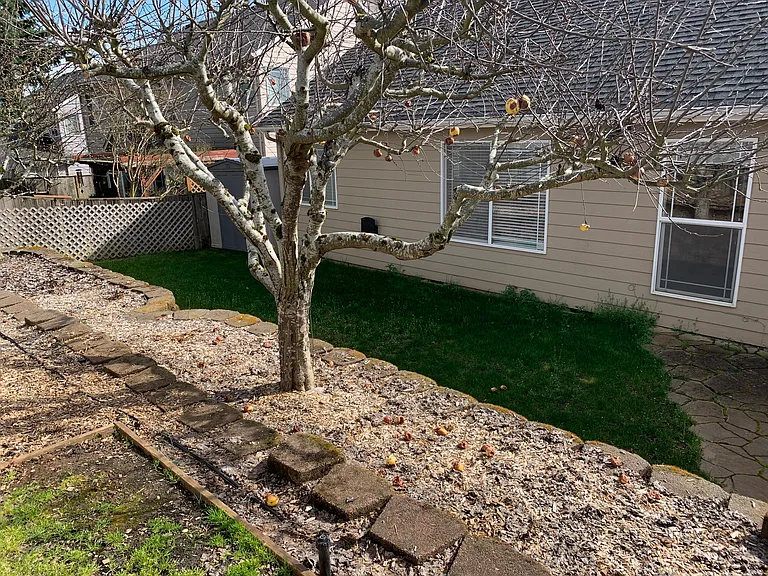 2895 Vintage Ave SE — Photo 59