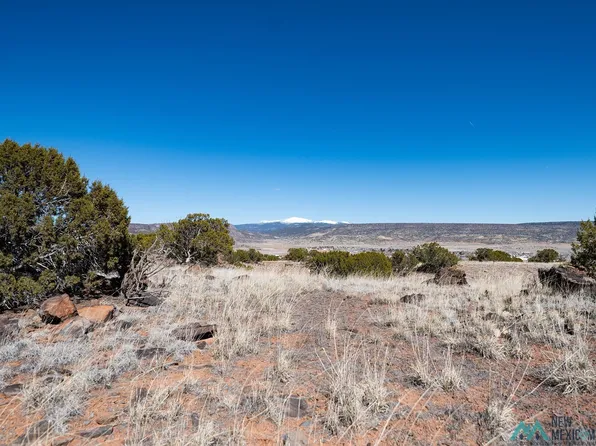 Parkhurst Ln, Grants, NM 87020