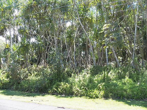 4th image of Oopu St Lot 1547