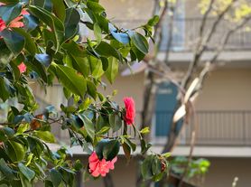 Broadway Pacifica, 1bdrm