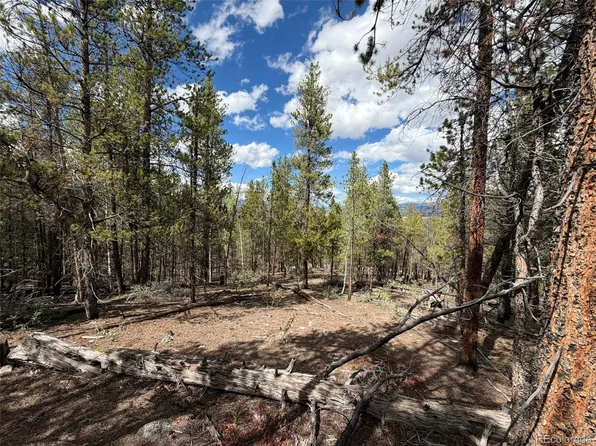 105 Parry Peak Drive, Twin Lakes, CO 81251