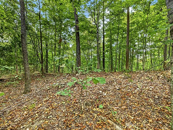 2nd image of 0 Timber Ridge Ln Lot 28