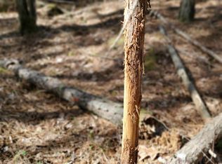 0 Serenity Ln #2, Talladega, AL 35160