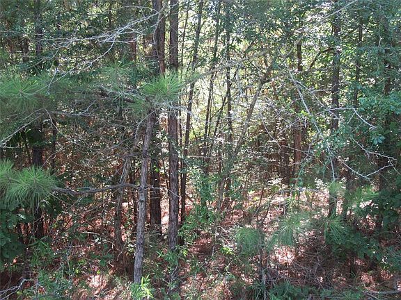 2nd image of Tbd Whisperwood Dr