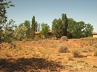 2.4 acres in city limits. Lots of trees for high summer shade and privacy.