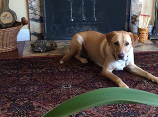 350 Aragon Blvd, San Mateo, CA 94402