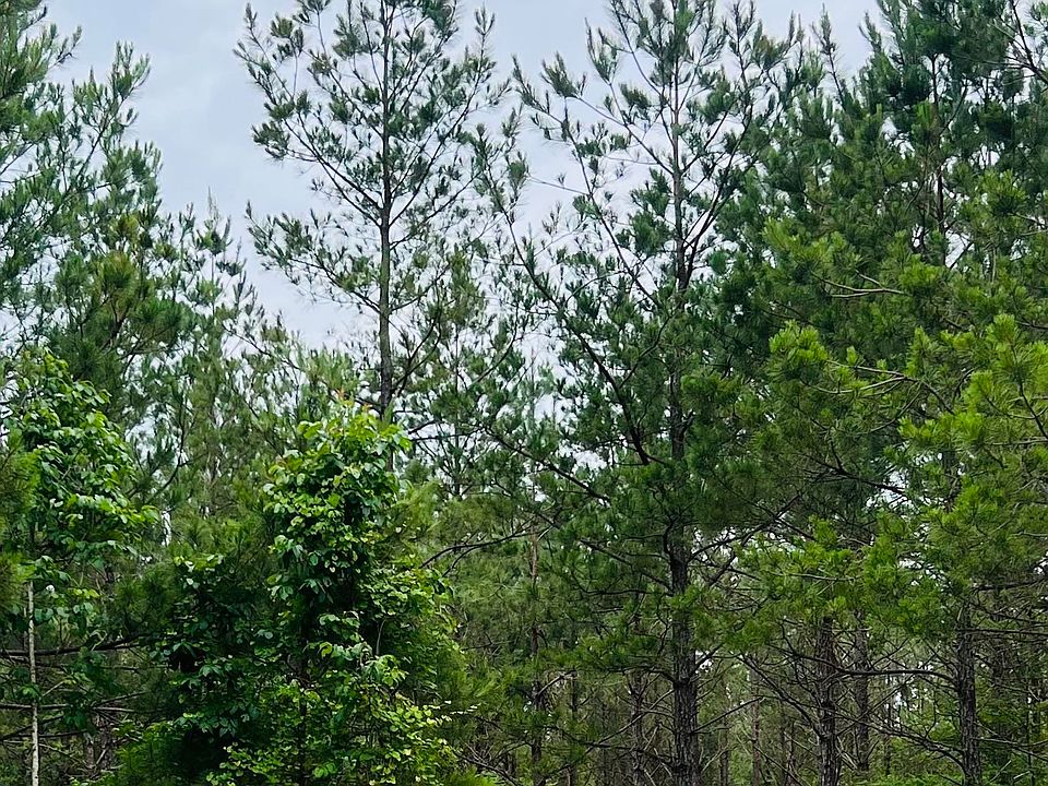 2nd image of 0 Holly Hill Rd