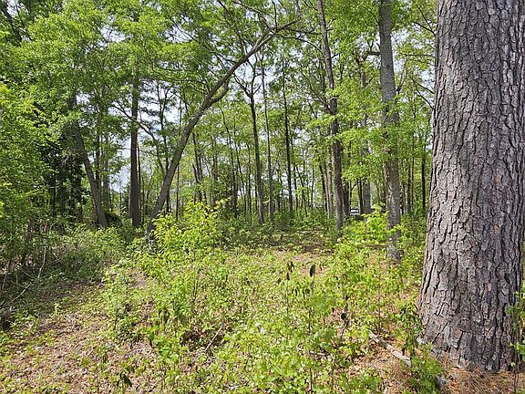 5th image of 2 Lot Providence Lane