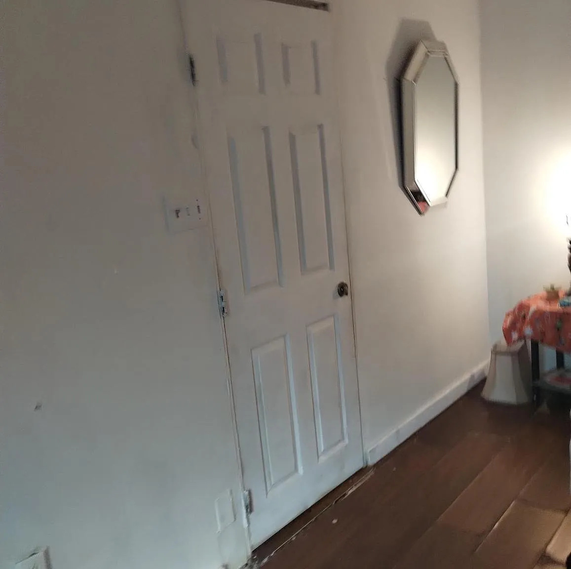 Studio, 728 sqft, $640 — Photo 4