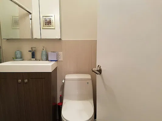 Rented by Manhattan Apartment Organization | media 30