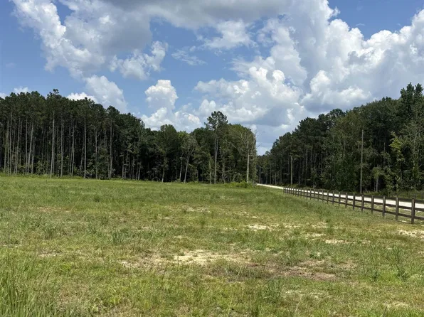 34740 Clinton Allen Rd, Denham Springs, LA 70706