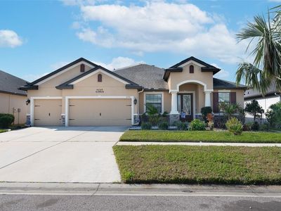 11753 Sunburst Marble Rd, Riverview, FL, 33579