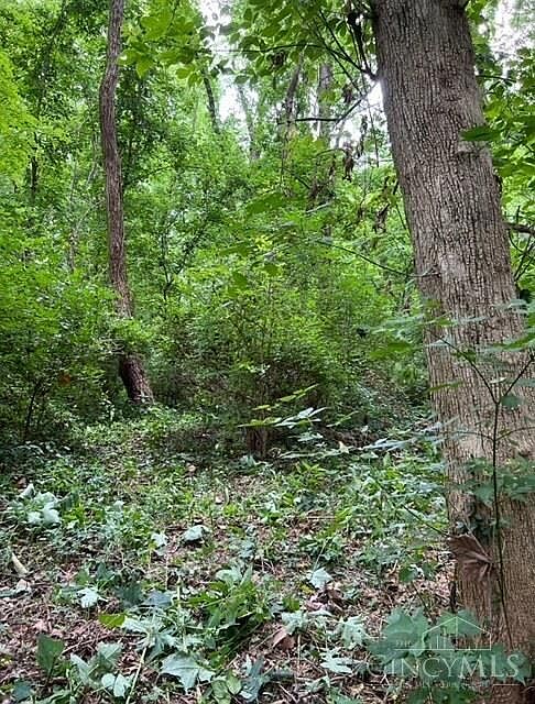 2nd image of 96 Birch Ln