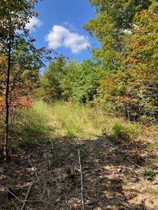 19 Church Rd, Annapolis, MO, 63620