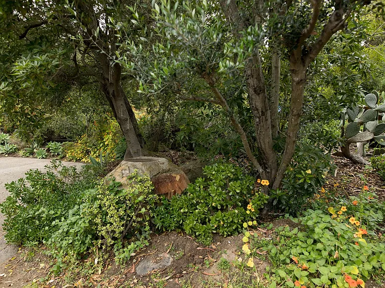 2604 Foothill Rd — Photo 39