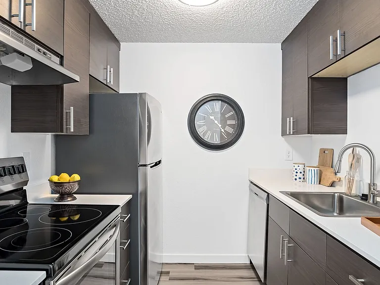 Canopy Apartments — Photo 35