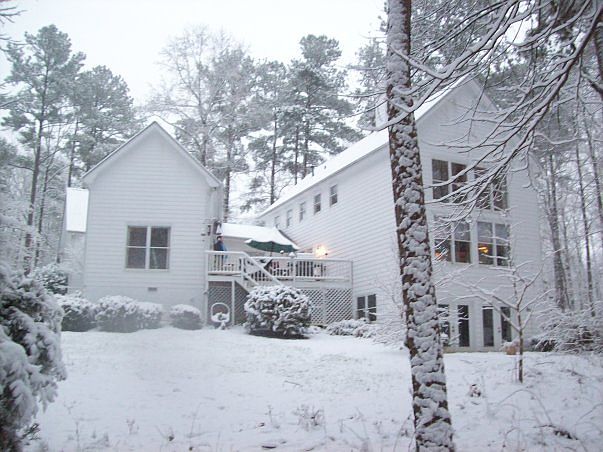 Rear of house