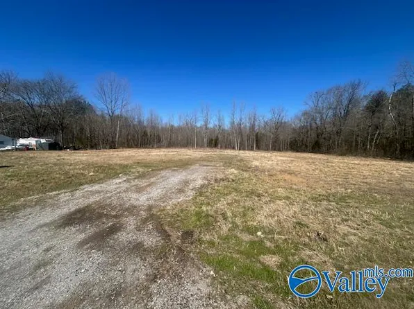 4277 Hobbs Island Rd, Owens Cross Roads, AL 35763