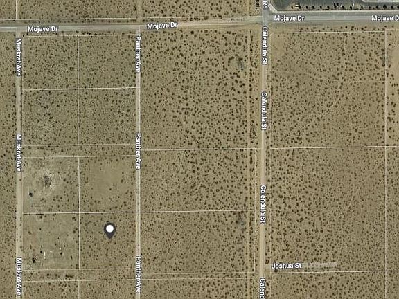 5th image of Panther Ave