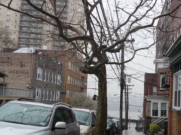 5th image of 21 66th St APT 2