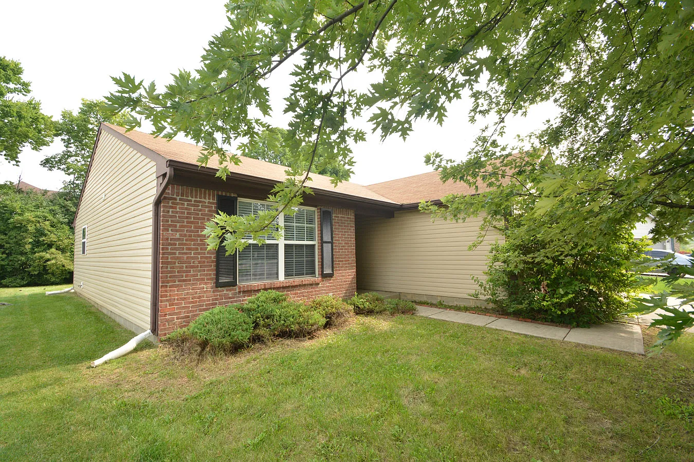 2337 Rolling Oak Dr photo 1