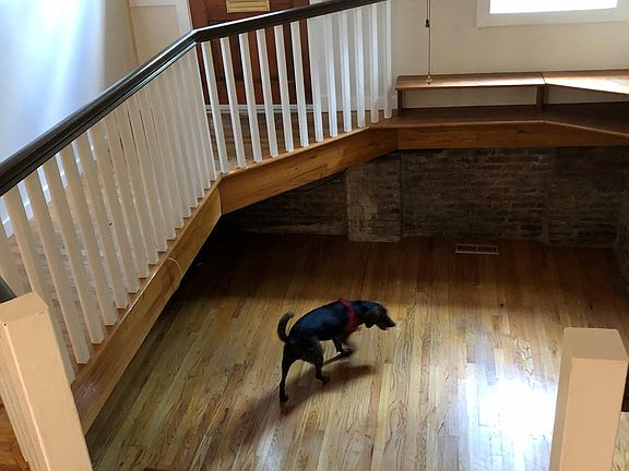 Hello Dicky Dog, he_s checking out the stairs down to the sunken living room.