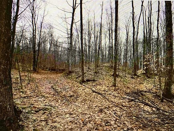 5th image of Tower Rd