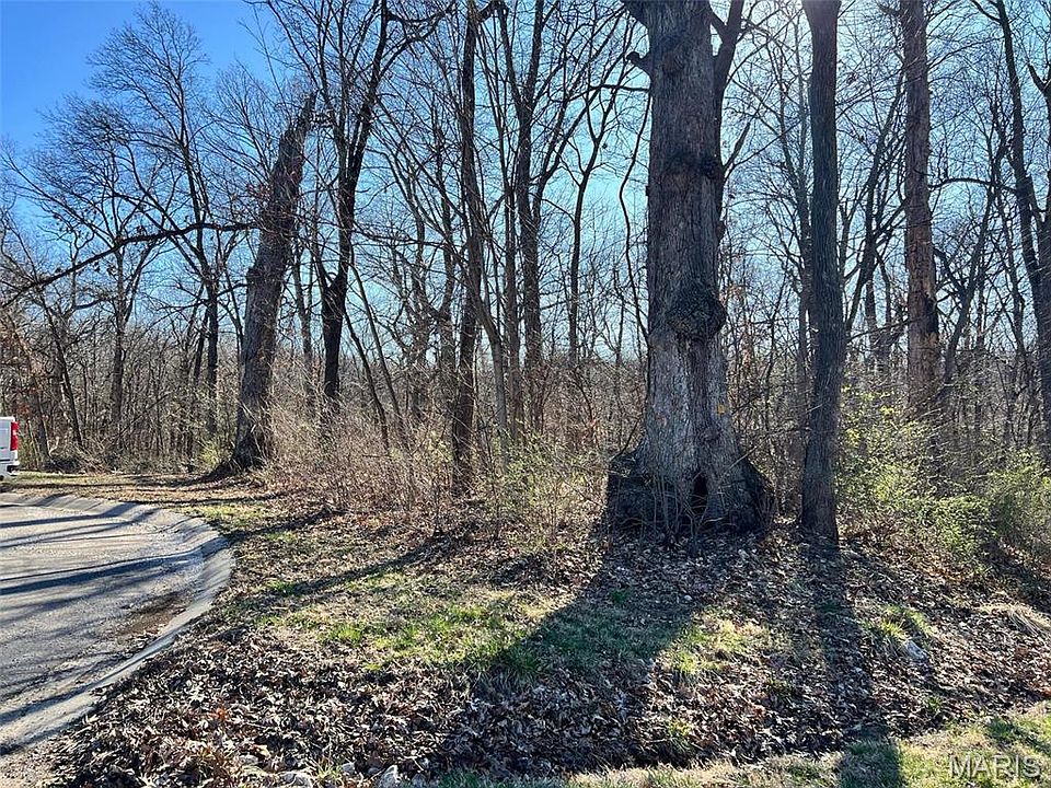 2nd image of Oak Ridge Pond Ct
