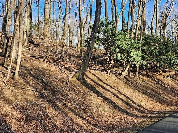 5th image of Gulch Rd Lot 1-2-3