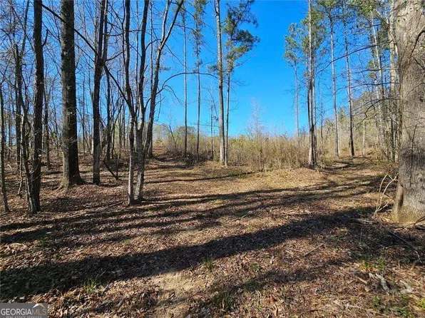0 Butler Rd, Franklin, GA 30217