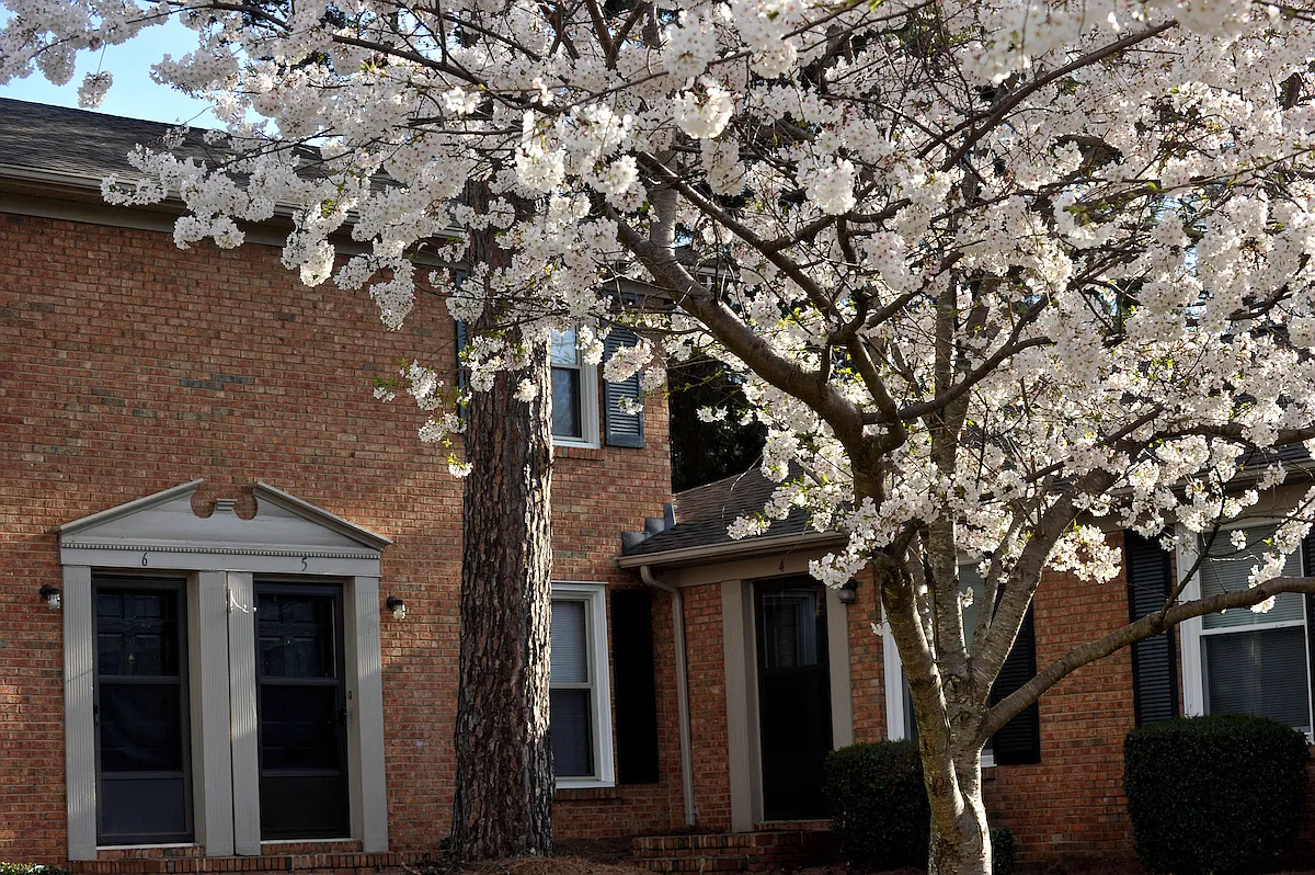 Kilborne Apartments — Photo 2