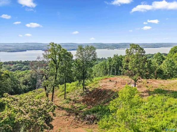423 Keene Point Dr, Grant, AL 35747