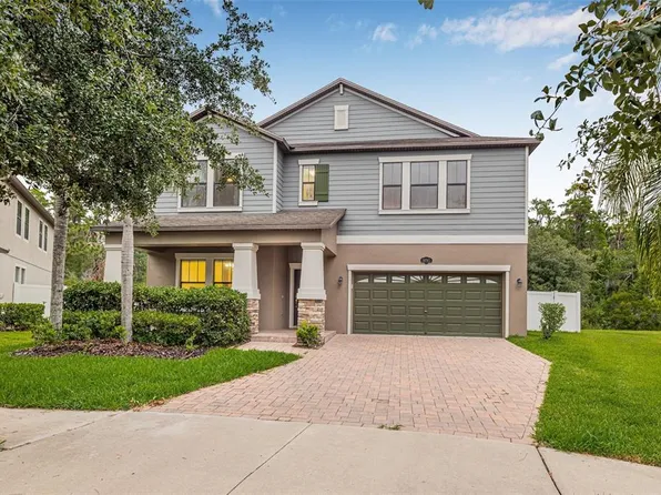 10707 Pegasus Valley Ct, Tampa, FL 33647