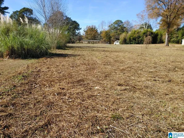 0 Dogwood Cir #12, Sylacauga, AL 35150