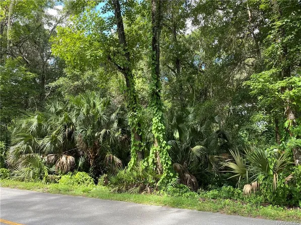 170 S Little John Ave, Inverness, FL 34450