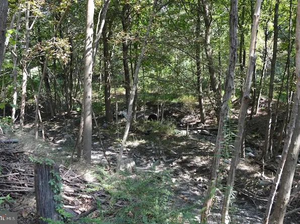 0 S Reading Railroad, Shenandoah, PA 17976