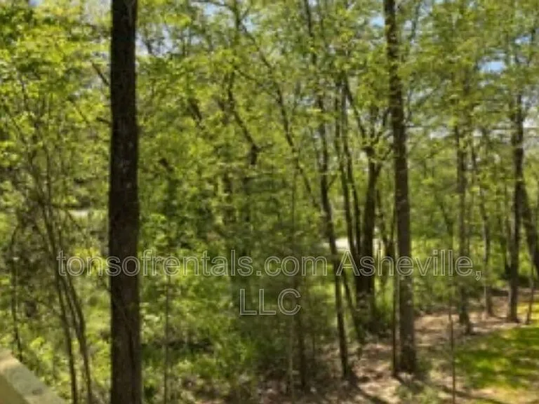 31 John Halford Ct — Photo 23