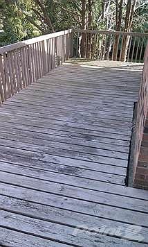 2nd image of 224 Miller Dr