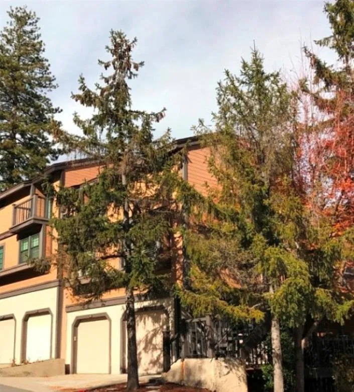2 bed, 868 sqft, $3,800 — Photo 3