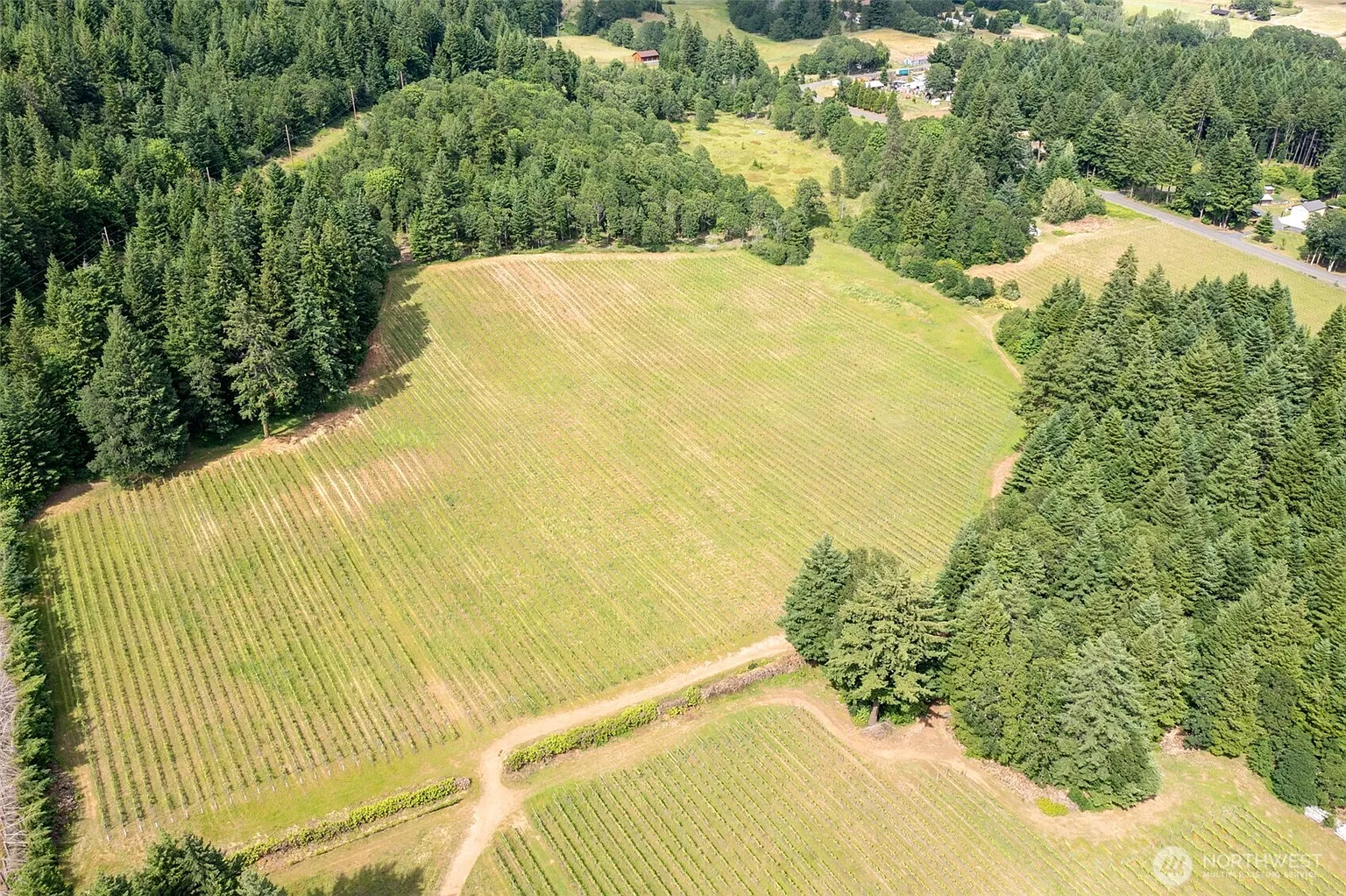 391 Newell Rd photo 1