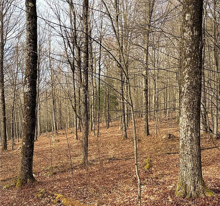 2nd image of Solitude Forest Dr Lot 2