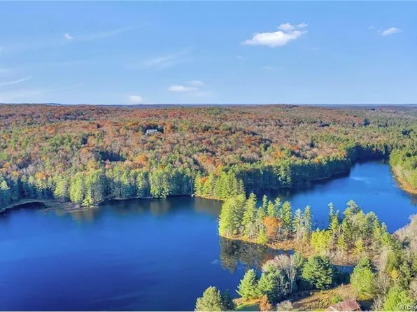 Lot 92 Mathias Weiden Drive, Narrowsburg, NY 12764