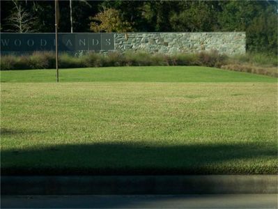 90 Buck Trail Pl, The Woodlands, TX, 77389