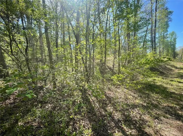 174 Navajo Trl #548, Martin, GA 30557