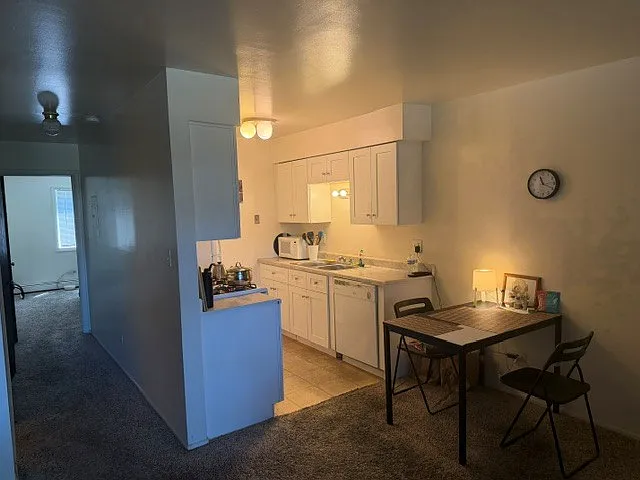 1321 E Turtle Creek Cir #B — Photo 5
