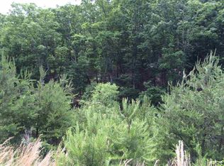 9049 Paradise View Dr, Mooresburg, TN 37811