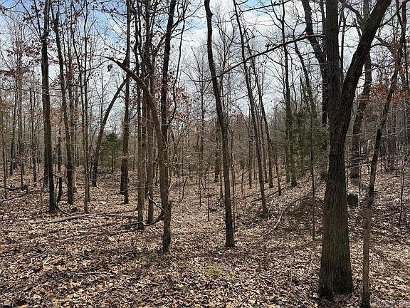 5th image of Red Bud Rd