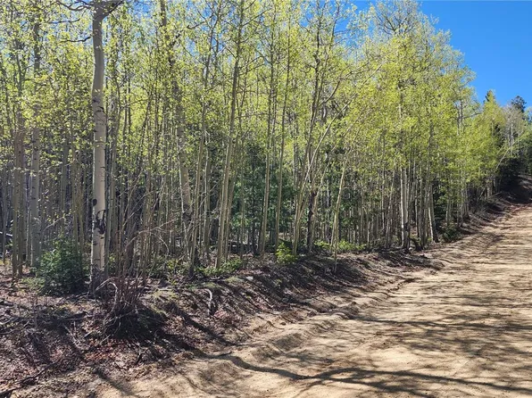 6655 Alden Road, Fort Garland, CO 81133