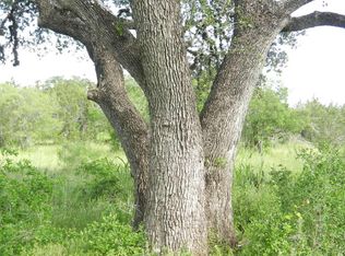 859 Oak Bluff Trl, New Braunfels, TX 78132