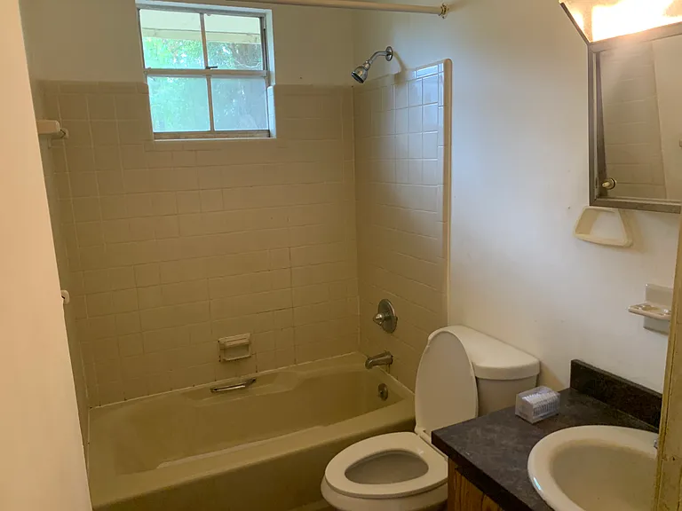 Bathroom (Viewed from Hallway Door)